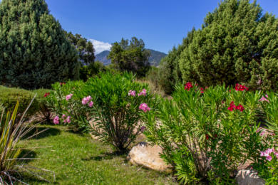 Location avec jardin et piscine.