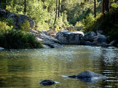 Les piscines naturelles en Corse.  