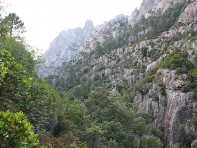 Promenade foret Bavella nature Corse.